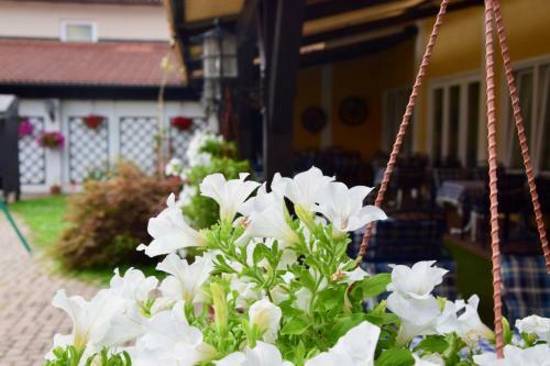 Posada Gasthof Kasperle