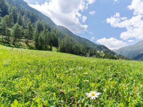 Mountain-view Apartment In Zwieselstein With Balcony