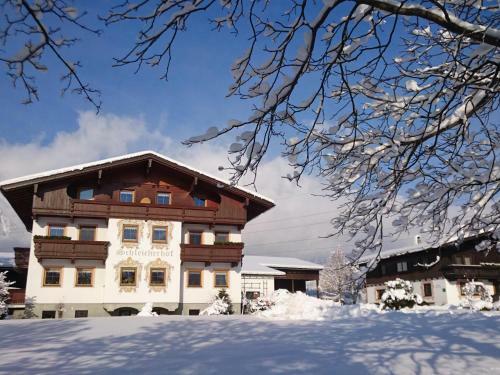Apartamento Schleicherhof V