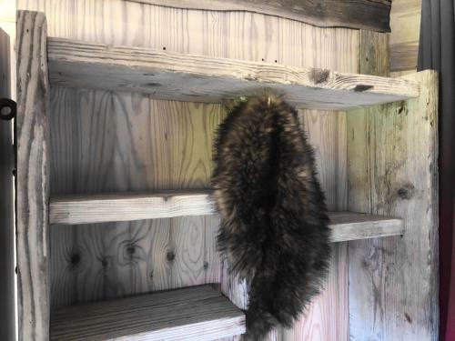 Bed & Breakfast Tierpark Buchenberg