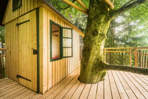 Bed & Breakfast Tierpark Buchenberg