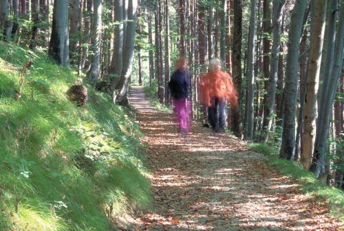 Bed & Breakfast Tierpark Buchenberg