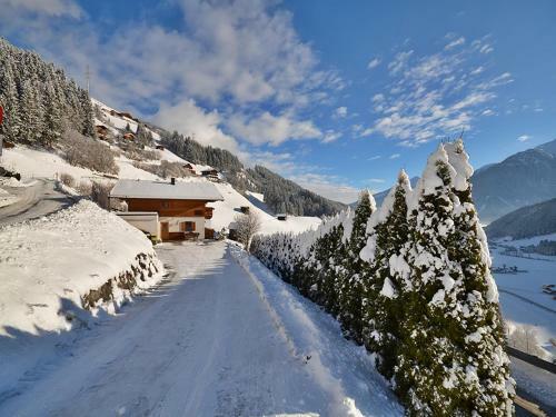 Chalet Bella Vista Xl