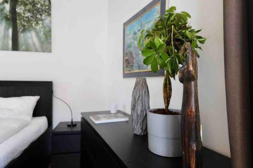 Spacious 1 Br City Apartment Belvedere