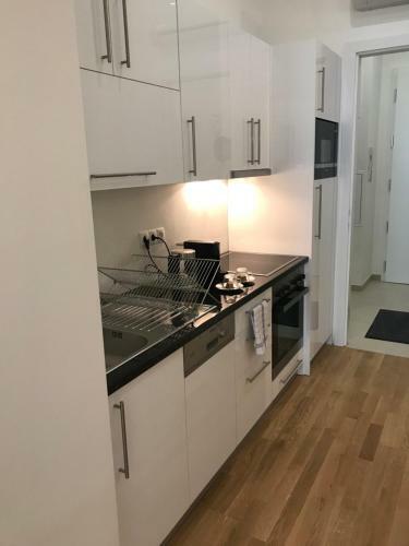 Apartamento Steiner Residences Vienna Taborstrasse