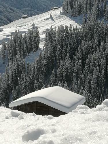 Apartamento Haus Anna