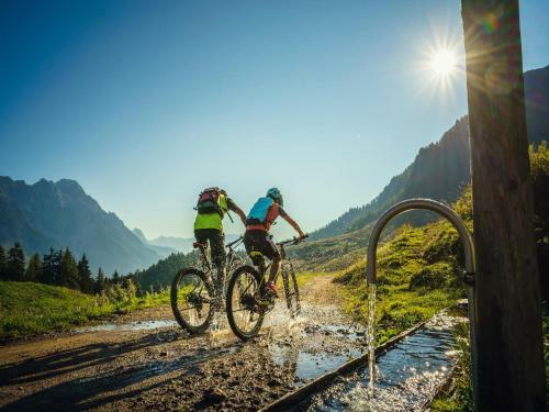 Grieswirt Tirol