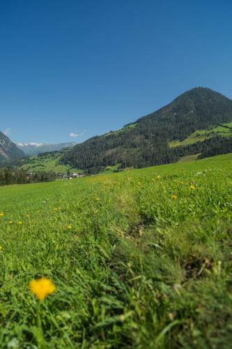 Apartamento Putzenhof Appartements