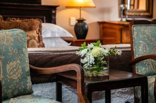 Hostal Terra Casa Guesthouse
