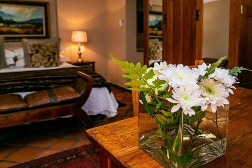 Hostal Terra Casa Guesthouse
