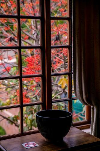 Hostal Terra Casa Guesthouse
