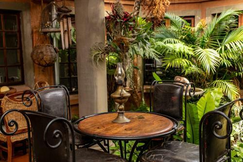 Hostal Terra Casa Guesthouse