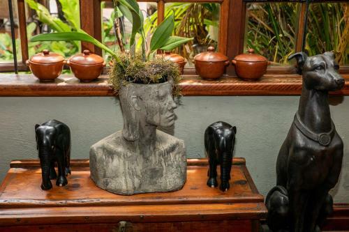Hostal Terra Casa Guesthouse