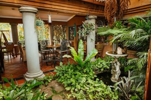 Hostal Terra Casa Guesthouse