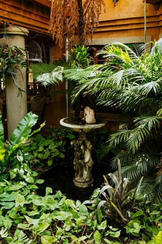 Hostal Terra Casa Guesthouse