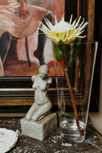 Hostal Terra Casa Guesthouse