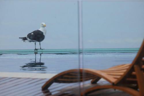 Hostal Periwinkle Lodge Guest House