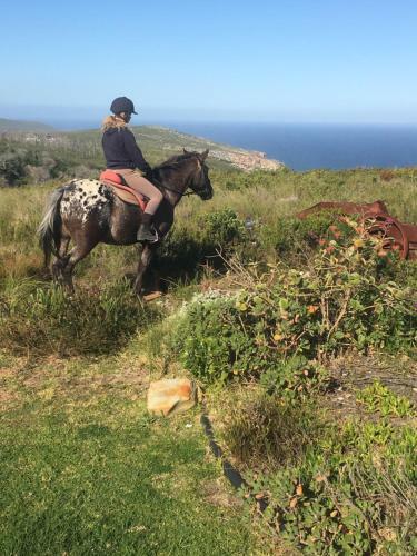 Agroturismo T'niqua Stable Inn