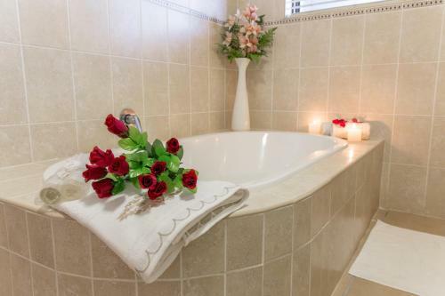 Apartamentos Alkantmooi Self Catering