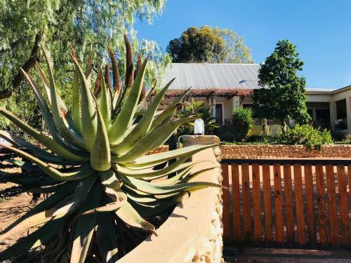 Bed & Breakfast Koedoeskloof Guesthouse