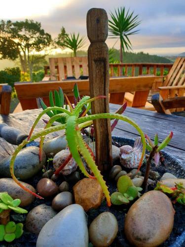 African Array Lodge