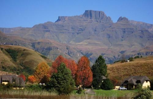 Hostal Drakensberg House
