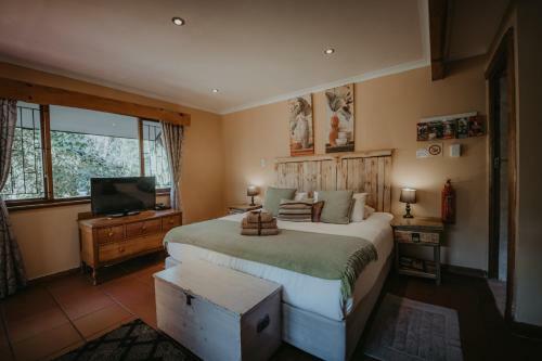 Albergue Tsitsikamma Backpackers