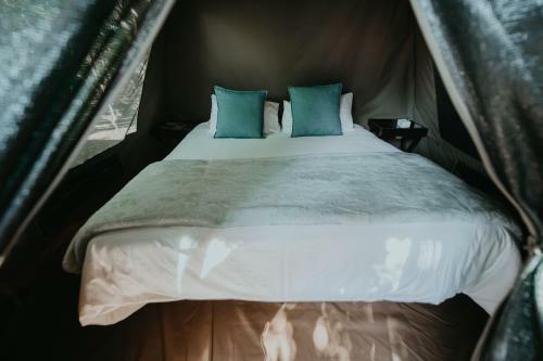 Albergue Tsitsikamma Backpackers