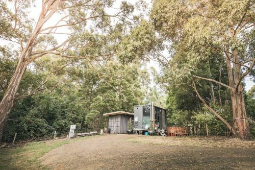 Willow View