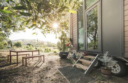 Willow View