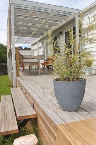 Little Champ