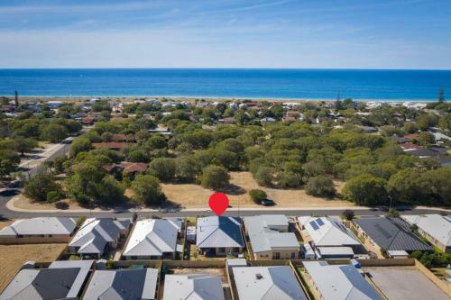 Koala-tea-stays - Geographe