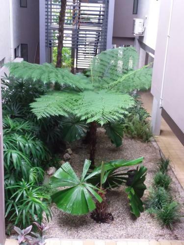 Jackies Studio Apartment