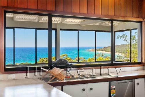 The Lookout