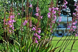 Posada Tsitsikamma Village Inn