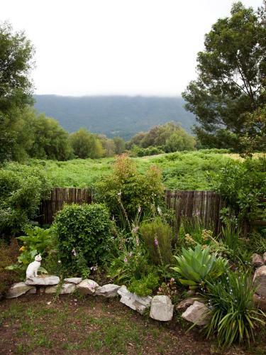 Bed & Breakfast Andelomi Forest Lodge