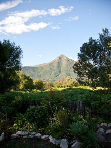 Bed & Breakfast Andelomi Forest Lodge