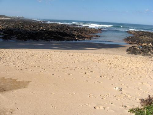 Hostal Sea Otters Lodge