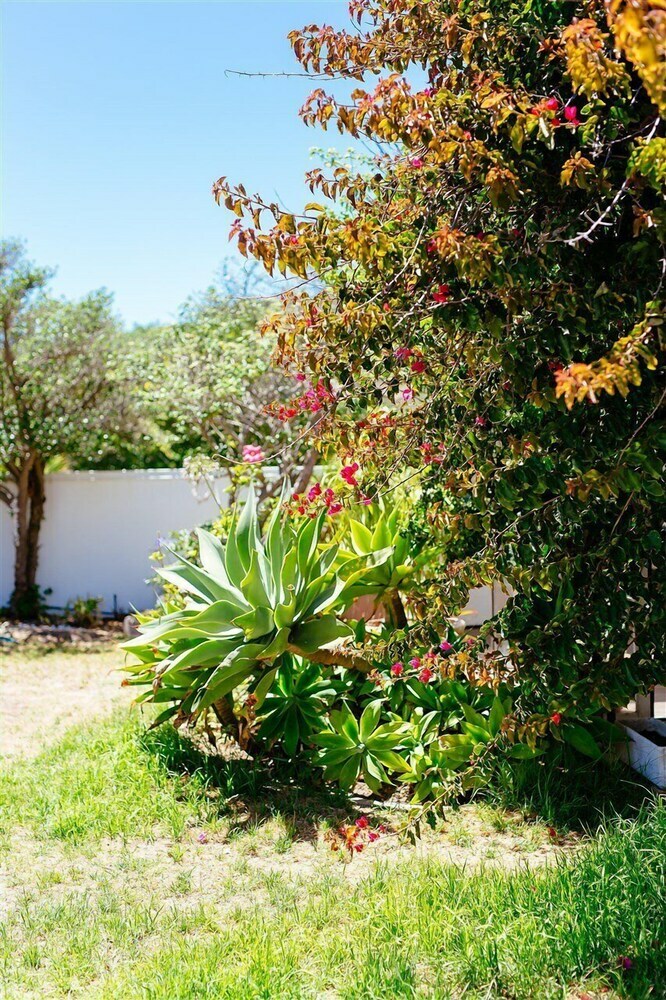Bed & Breakfast Swept Away Guesthouse