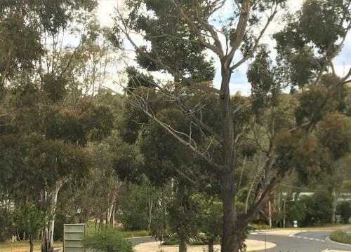 Eildon Lake Motel