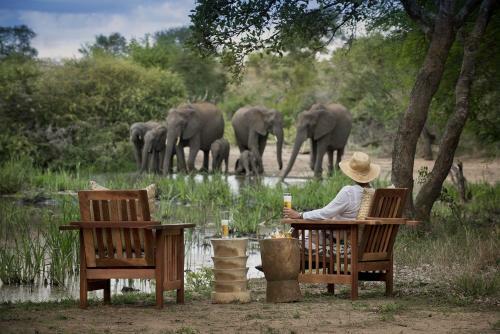 Lodge Tanda Tula Safari Camp