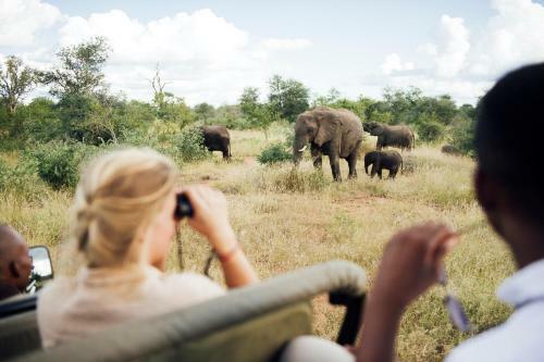 Lodge Tanda Tula Safari Camp