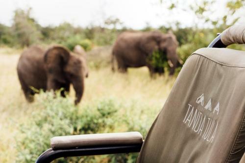 Lodge Tanda Tula Safari Camp