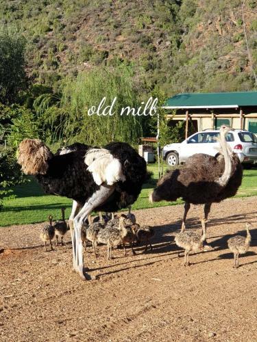 Old Mill Lodge & A La Carte Restaurant