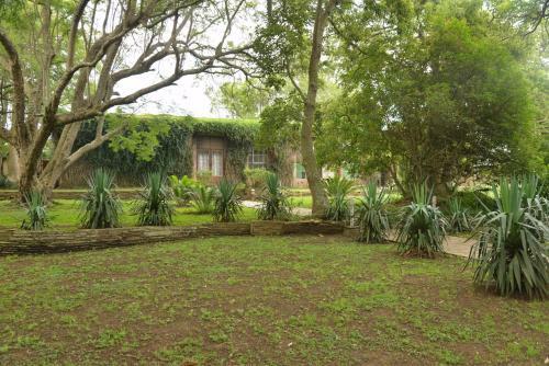 Lodge Three Cities Tala Private Game Reserve