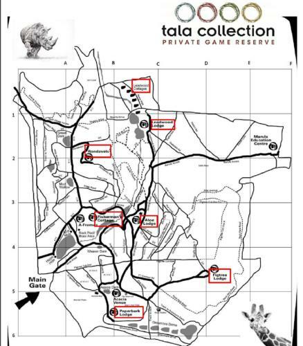 Lodge Three Cities Tala Private Game Reserve