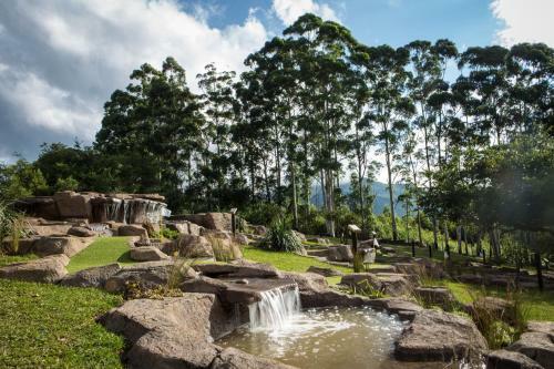 Ingeli Forest Lodge