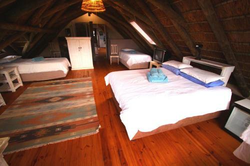 Bed & Breakfast Oyster Bay Beach Lodge