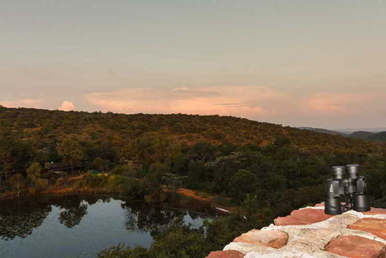 Hostal Birdsong Cottages