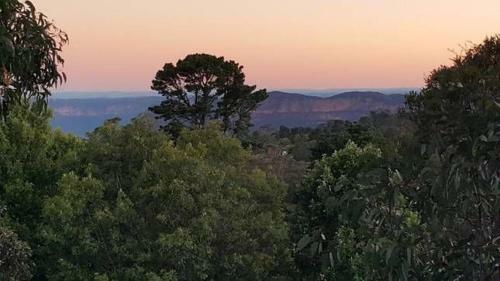 Treetops Retreat Katoomba